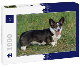 Lais Puzzle - Welsh Corgi Cardigan - 1.000 Teile