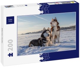Lais Puzzle - Siberian Husky - 200 Teile