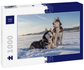 Lais Puzzle - Siberian Husky - 1.000 Teile