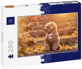 Lais Puzzle - Toy Pudel - 200 Teile