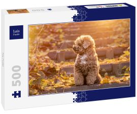 Lais Puzzle - Toy Pudel - 500 Teile