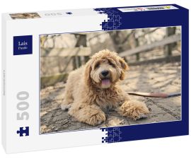 Lais Puzzle - Labradoodle - 500 Teile