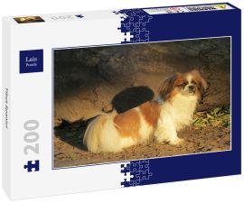 Lais Puzzle - Tibet Spaniel - 200 Teile