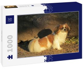 Lais Puzzle - Tibet Spaniel - 1.000 Teile