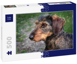 Lais Puzzle - Rauhhaardackel - 500 Teile