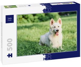Lais Puzzle - Weißer Schweizer Schäferhund - 500 Teile