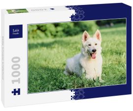Lais Puzzle - Weißer Schweizer Schäferhund - 1.000 Teile