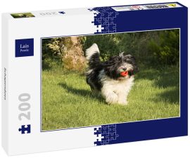 Lais Puzzle - Schapendoes - 200 Teile