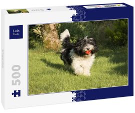 Lais Puzzle - Schapendoes - 500 Teile