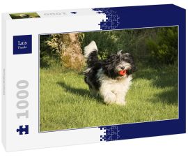 Lais Puzzle - Schapendoes - 1.000 Teile