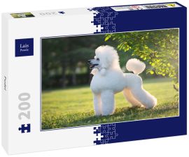 Lais Puzzle - Pudel - 200 Teile