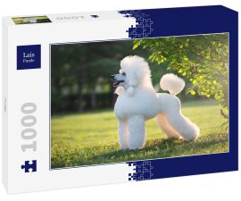 Lais Puzzle - Pudel - 1.000 Teile