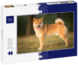 Lais Puzzle - Shiba Inu - 200 Teile