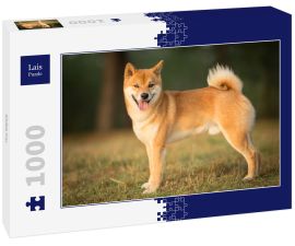 Lais Puzzle - Shiba Inu - 1.000 Teile