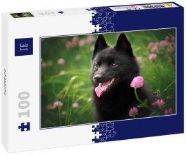 Lais Puzzle - Schipperke - 100 Teile