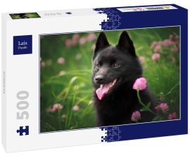 Lais Puzzle - Schipperke - 500 Teile