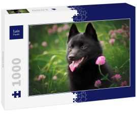 Lais Puzzle - Schipperke - 1.000 Teile
