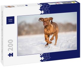 Lais Puzzle - Hund Kurzhaariger Ungarischer Vorstehhund Magyar Vizsla - 200 Teile