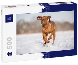 Lais Puzzle - Hund Kurzhaariger Ungarischer Vorstehhund Magyar Vizsla - 500 Teile