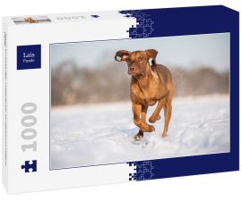 Lais Puzzle - Hund Kurzhaariger Ungarischer Vorstehhund Magyar Vizsla - 1.000 Teile