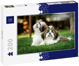 Lais Puzzle - Shih Tzu - 200 Teile
