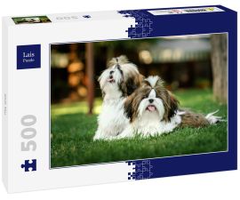 Lais Puzzle - Shih Tzu - 500 Teile