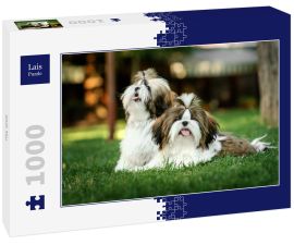 Lais Puzzle - Shih Tzu - 1.000 Teile