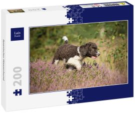 Lais Puzzle - Spanischer Wasserhund - 200 Teile