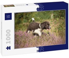Lais Puzzle - Spanischer Wasserhund - 1.000 Teile
