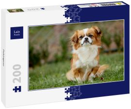 Lais Puzzle - Pekingese - 200 Teile