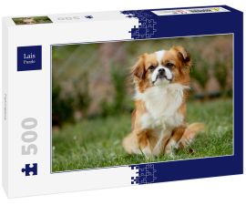 Lais Puzzle - Pekingese - 500 Teile