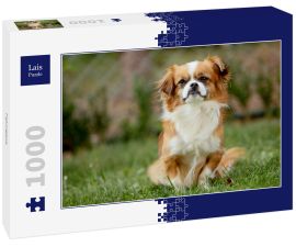 Lais Puzzle - Pekingese - 1.000 Teile