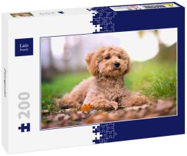 Lais Puzzle - Zwergpudel - 200 Teile