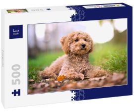Lais Puzzle - Zwergpudel - 500 Teile