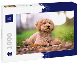 Lais Puzzle - Zwergpudel - 1.000 Teile
