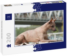 Lais Puzzle - Peruvian Inca Orchid - 200 Teile