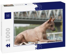 Lais Puzzle - Peruvian Inca Orchid - 1.000 Teile