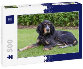 Lais Puzzle - Luzerner Laufhund - 500 Teile