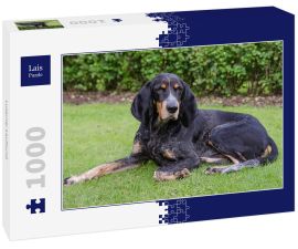 Lais Puzzle - Luzerner Laufhund - 1.000 Teile