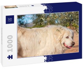Lais Puzzle - Pyrenäenberghund - 1.000 Teile