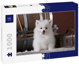 Lais Puzzle - Volpino Italiano - 1.000 Teile