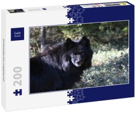 Lais Puzzle - Schwedischer Lapphund - 200 Teile