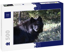 Lais Puzzle - Schwedischer Lapphund - 500 Teile
