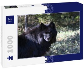 Lais Puzzle - Schwedischer Lapphund - 1.000 Teile
