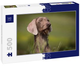 Lais Puzzle - Slowakischer Rauhbart - 500 Teile