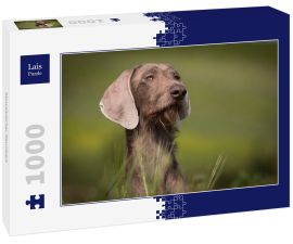 Lais Puzzle - Slowakischer Rauhbart - 1.000 Teile