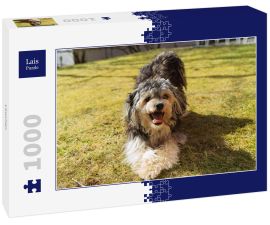 Lais Puzzle - Löwchen - 1.000 Teile