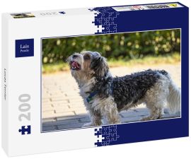 Lais Puzzle - Lucas Terrier - 200 Teile