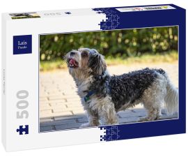 Lais Puzzle - Lucas Terrier - 500 Teile