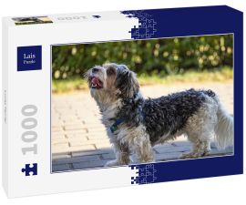 Lais Puzzle - Lucas Terrier - 1.000 Teile